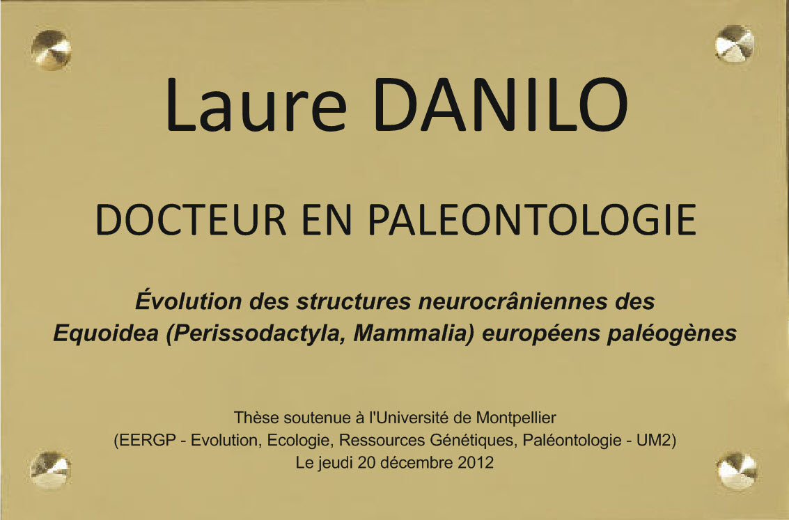 plaque pour un paleantologue