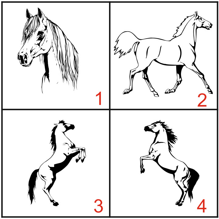 dessin pour plaque de box pour chevaux