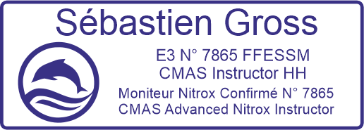 Empreinte tampon plongeur Pocket Printy 9512 46x17mm