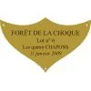 Plaque laiton pour trophee - 70 mm x 42 mm - 3/4 lignes