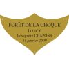 Plaque laiton pour trophee - 70 mm x 42 mm - 3/4 lignes