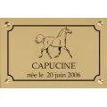 plaque de box pour chevaux avec cadre