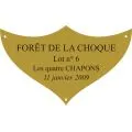 Plaque laiton pour trophee - 70 mm x 42 mm - 3/4 lignes