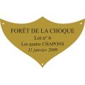 Plaque laiton pour trophee - 70 mm x 42 mm - 3/4 lignes