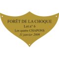 Plaque laiton pour trophee - 70 mm x 42 mm - 3/4 lignes