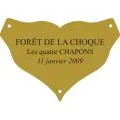 Plaque laiton pour trophee - 45 mm x 31 mm - 3 lignes