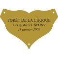 Plaque laiton pour trophee - 45 mm x 31 mm - 3 lignes