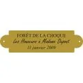 Plaque laiton pour trophee - 76 mm x 20 mm - 3 lignes