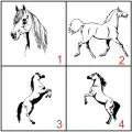 plaque de box pour chevaux - Plaque de box - PPCASHOP