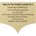 Plaque laiton pour trophee - 99 mm x 90 mm - 10 lignes - Plaque trophée - PPCASHOP