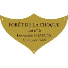 Plaque laiton pour trophee - 70 mm x 42 mm - 3/4 lignes