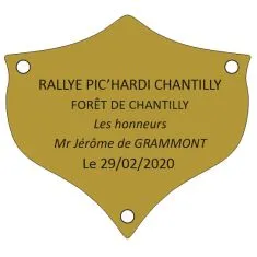 Plaque trophée 55 mm x 40 mm pour 4 à 5 lignes