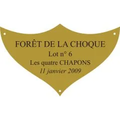 Plaque laiton pour trophee - 70 mm x 42 mm - 3/4 lignes