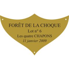 Plaque laiton pour trophee - 70 mm x 42 mm - 3/4 lignes
