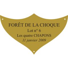 Plaque laiton pour trophee - 70 mm x 42 mm - 3/4 lignes