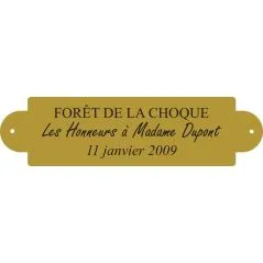 Plaque laiton pour trophee - 76 mm x 20 mm - 3 lignes