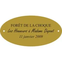 Plaque laiton pour trophee ovale 50 mm x 25 mm - 3 lignes