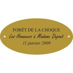 Plaque laiton pour trophee ovale 50 mm x 25 mm - 3 lignes