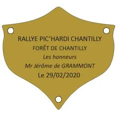 Plaque trophée 55 mm x 40 mm pour 4 à 5 lignes