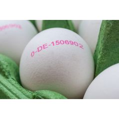 marquage-des-oeufs