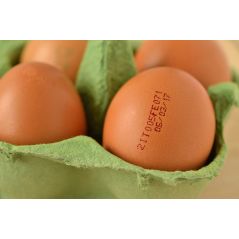 oeufs-brun