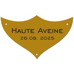 Plaque prestige en laiton pour trophee - 70 mm x 42 mm - 1,2 mm - Plaque trophée - PPCASHOP