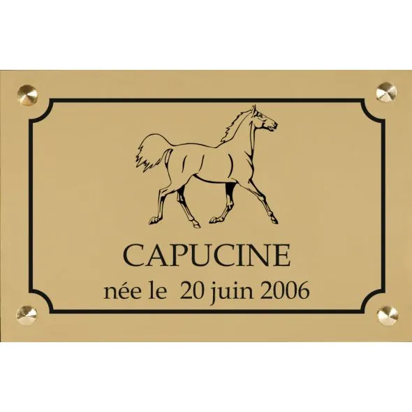 plaque de box pour chevaux avec cadre