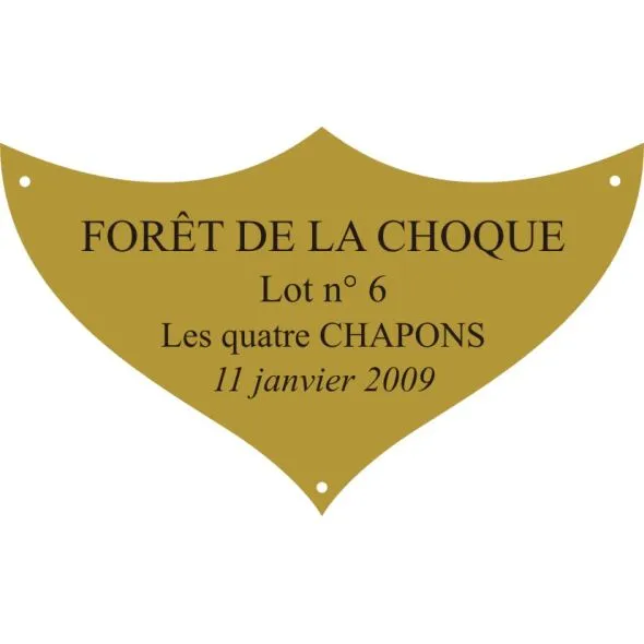 Plaque laiton pour trophee - 70 mm x 42 mm - 3/4 lignes