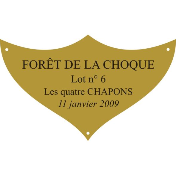 Plaque laiton pour trophee - 70 mm x 42 mm - 3/4 lignes