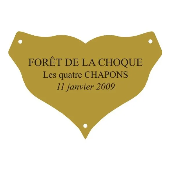 Plaque laiton pour trophee - 45 mm x 31 mm - 3 lignes