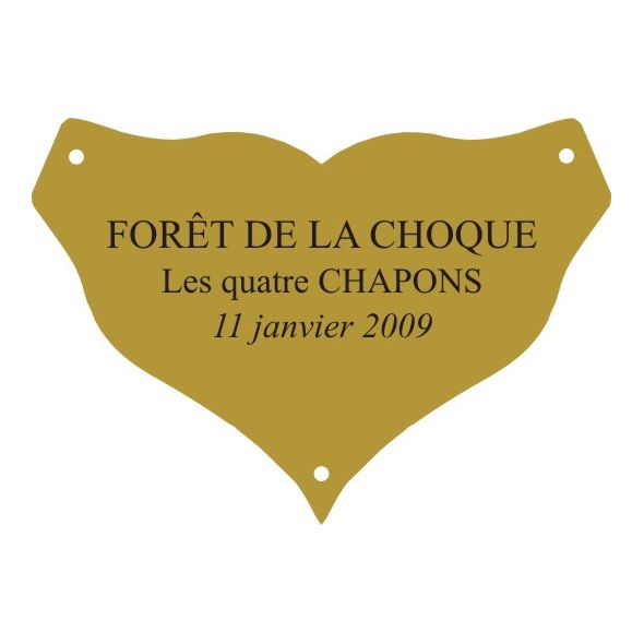 Plaque laiton pour trophee - 45 mm x 31 mm - 3 lignes