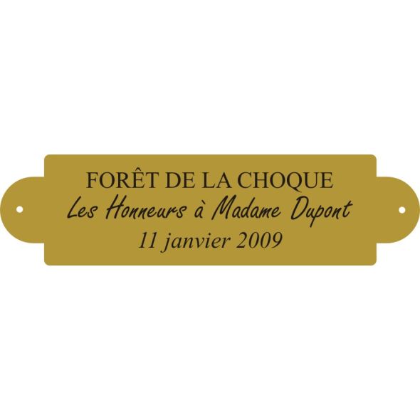 Plaque laiton pour trophee - 76 mm x 20 mm - 3 lignes