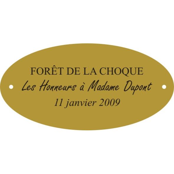 Plaque laiton pour trophee ovale 50 mm x 25 mm - 3 lignes