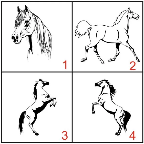 plaque de box pour chevaux - Plaque de box - PPCASHOP