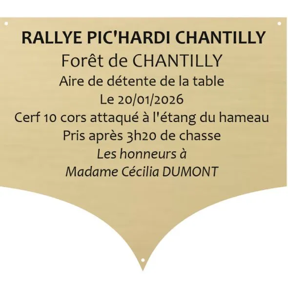 Plaque laiton pour trophee - 99 mm x 90 mm - 10 lignes - Plaque trophée - PPCASHOP