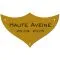 Plaque prestige en laiton pour trophee - 70 mm x 42 mm - 1,2 mm - Plaque trophée - PPCASHOP