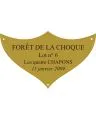 Plaque laiton pour trophee - 70 mm x 42 mm - 3/4 lignes - Plaque trophée - PPCASHOP