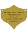 Plaque laiton pour trophee - 55 mm -50 mm - 4/5 lignes - Plaque trophée - PPCASHOP